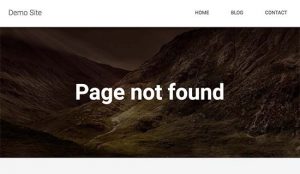 search404error