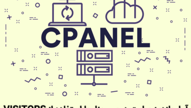 How to view the website visitors from the cPanel interface