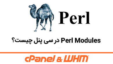 what is perl module in cpanel