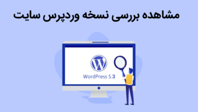 بررسی نسخه وردپرس سایت