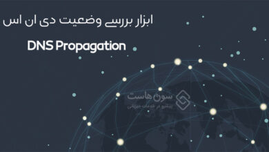 ابزار بررسی وضعیت دی ان اس