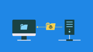 transfer wordpress to localhost