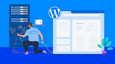 Impact wordpress hosting on speed and seo cover